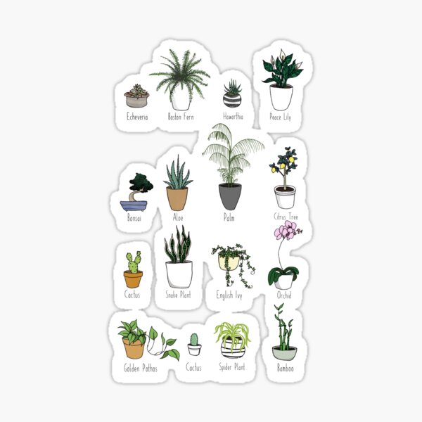 Vista previa del artículo con la obra «Plantas de interior», diseñado y vendido por katherineblower.