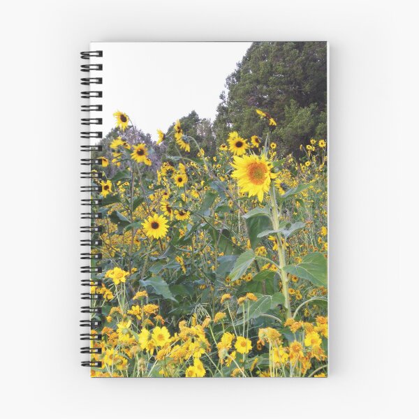 Artikelvorschau, Viele sonnige Tage entworfen und verkauft von Scott Haley.
