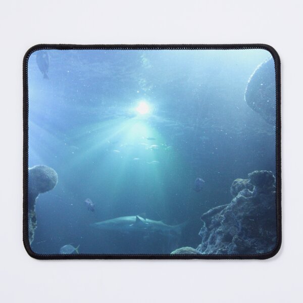 Item preview, Sharks and Light from Above at Tennessee Aquarium designed and sold by Silver Sky by Janet.