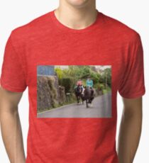 The Pace Of Village Life Tri-blend T-Shirt