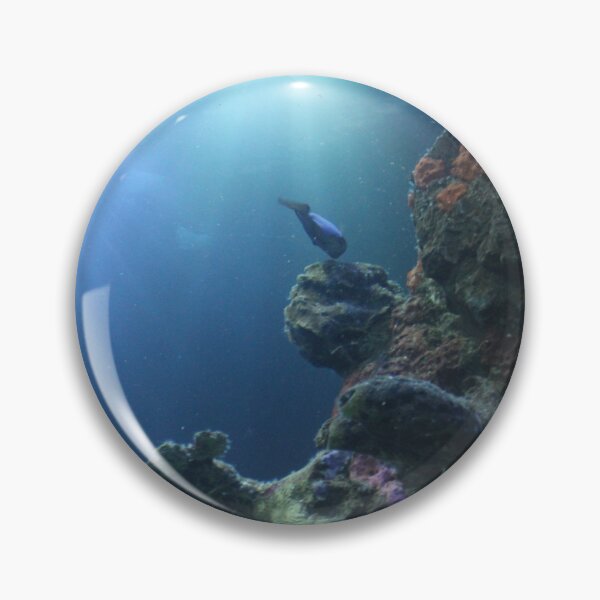Item preview, Into the Light of the Saltwater Aquarium at Tennessee Aquarium  designed and sold by Silver Sky by Janet.