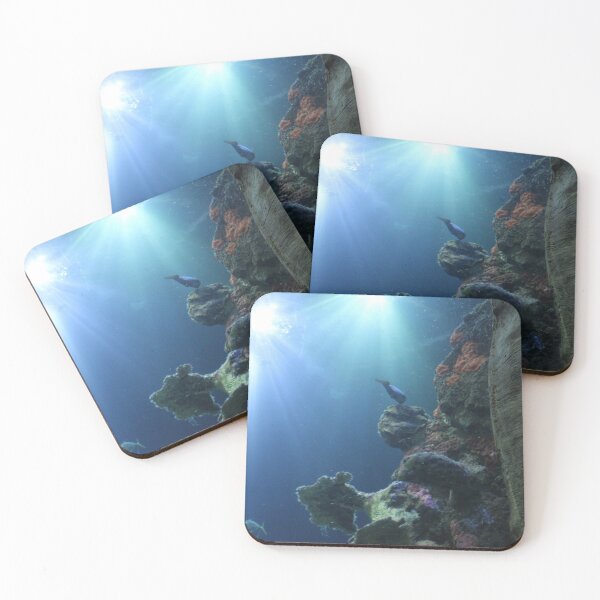 Item preview, Into the Light of the Saltwater Aquarium at Tennessee Aquarium  designed and sold by Silver Sky by Janet.