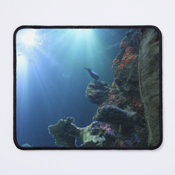 Item preview, Into the Light of the Saltwater Aquarium at Tennessee Aquarium designed and sold by Silver Sky by Janet.