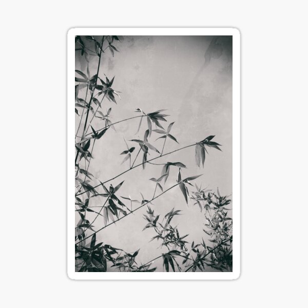 Item preview, Fragility & Strength designed and sold by Linda Lees.