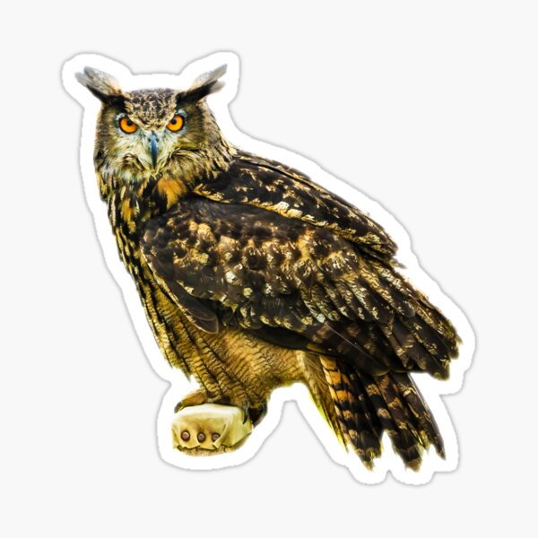 Item preview, Eurasian Eagle owl on its perch designed and sold by OwlOccasions.