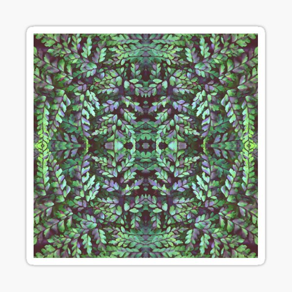 &ldquo;Forest Maidenhair Fern Pattern&rdquo; Sticker for Sale by Cloudlingpics