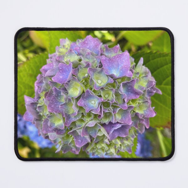 Item preview, Raindrops on Hydrangea Flowers designed and sold by Sinemathk.