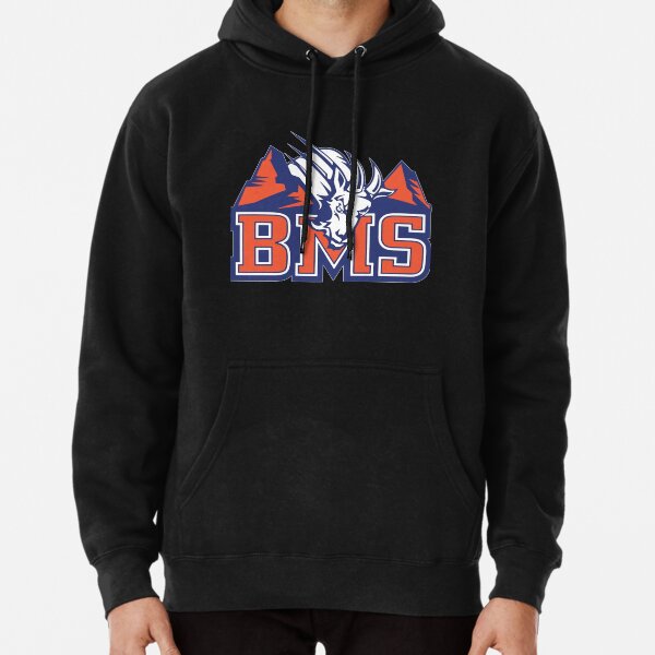 Blue mountain outlet state hoodie