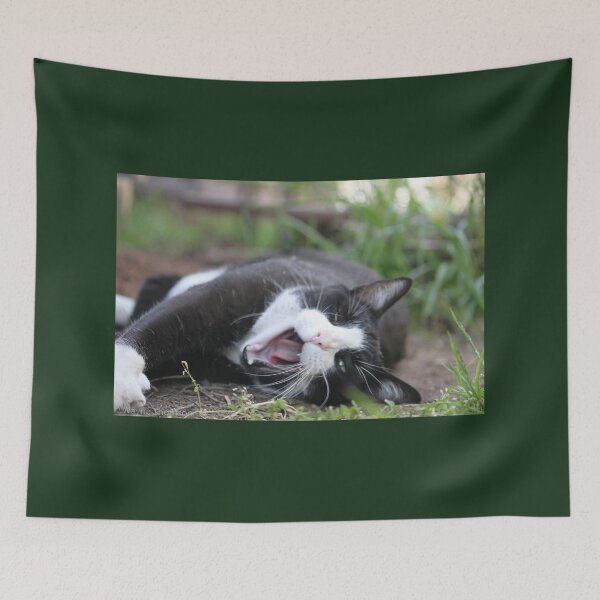 Item preview, Stretch That Yawn designed and sold by Wayne Thomson.