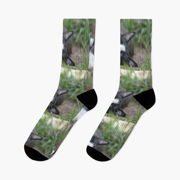 Item preview, Stretch That Yawn designed and sold by Wayne Thomson.