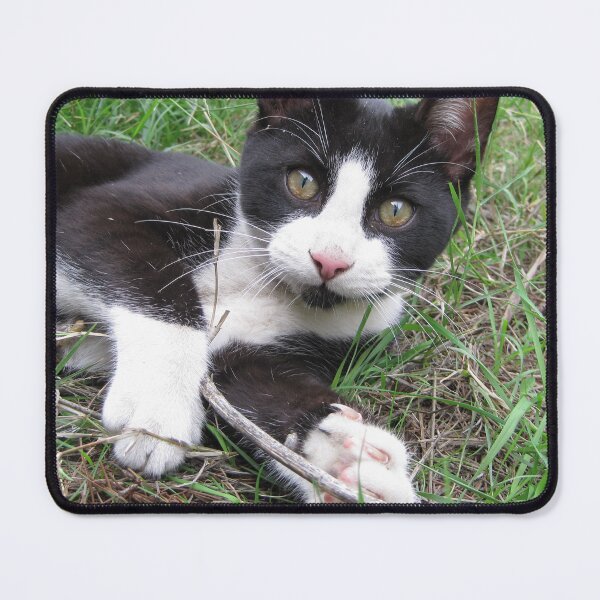 Item preview, Caught Playing designed and sold by Wayne Thomson.