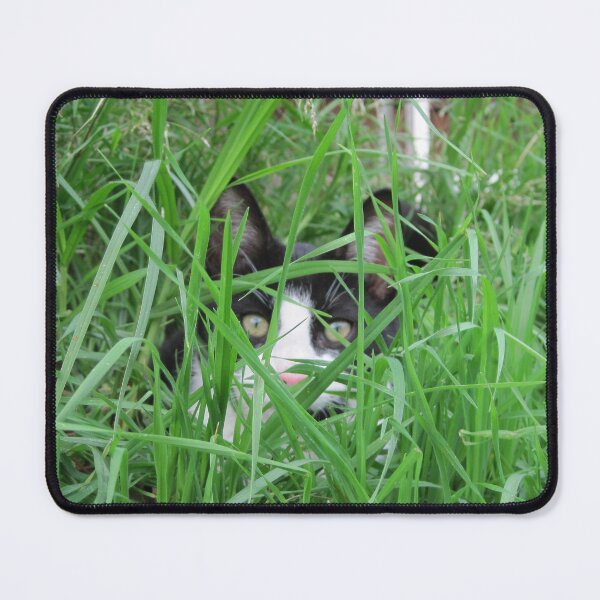Item preview, Hidden Cat designed and sold by Wayne Thomson.