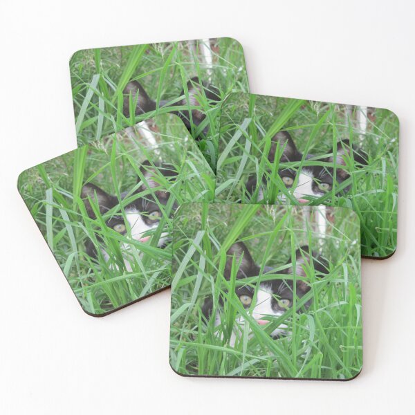 Item preview, Hidden Cat designed and sold by Wayne Thomson.