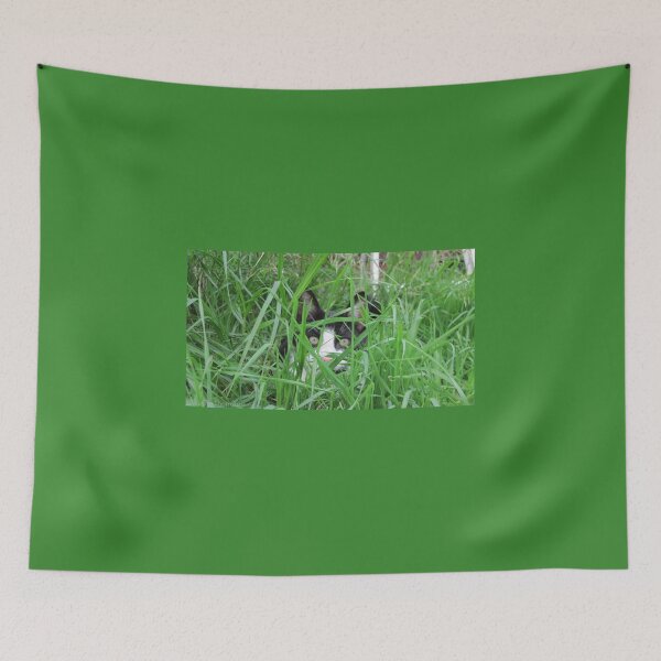 Item preview, Hidden Cat designed and sold by Wayne Thomson.
