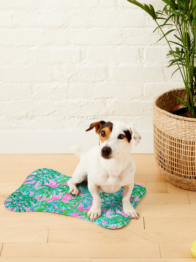 Graphic Pattern Pet Placemat Non-slip Absorbent Dog Feeding Mat