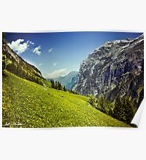 Lauterbrunnen Valley in Bloom Poster
