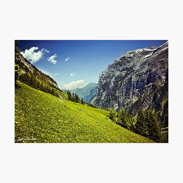 Item preview, Lauterbrunnen Valley in Bloom designed and sold by Jeff Goulden Photography.