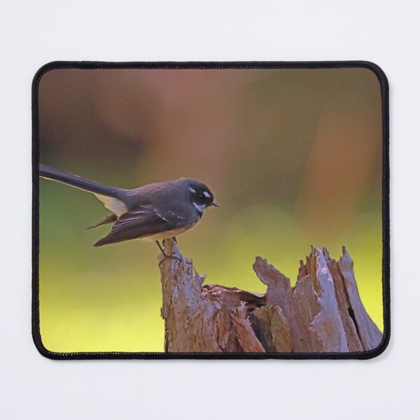 Item preview, Fantail resting 0118 designed and sold by Simon  King.