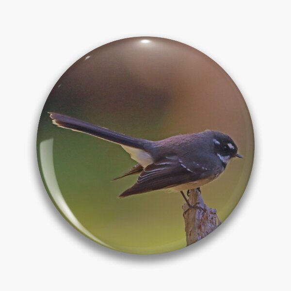 Item preview, Fantail resting 0118 designed and sold by Simon  King.