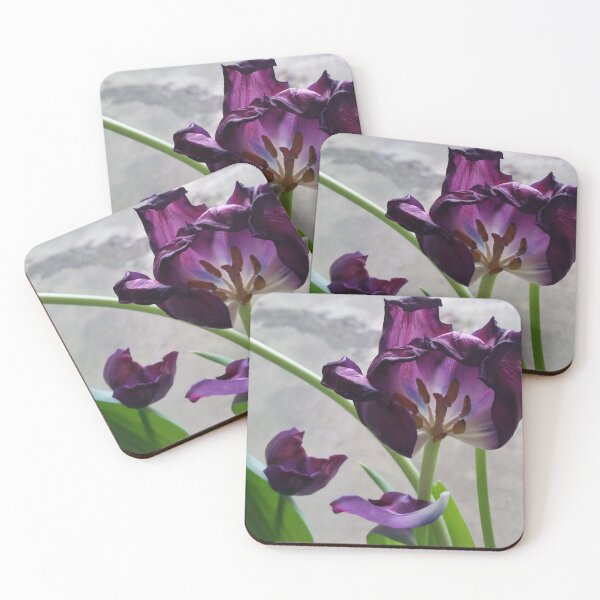 Item preview, Purple tulip in abscission (dropping petals) designed and sold by DigitalEurydice.