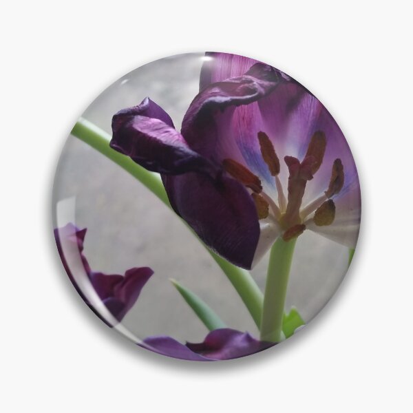 Item preview, Purple tulip in abscission (dropping petals) designed and sold by DigitalEurydice.