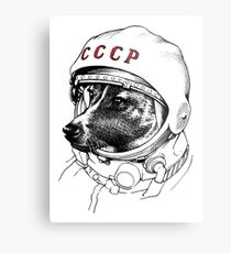 Laika, space traveler Metal Print