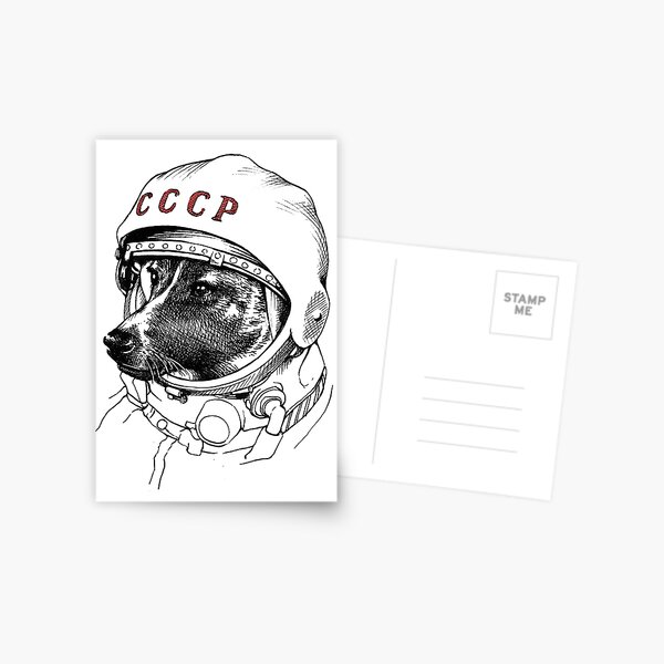 Laika, space traveler Postcard