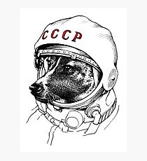 Lámina fotográfica Laika, space traveler