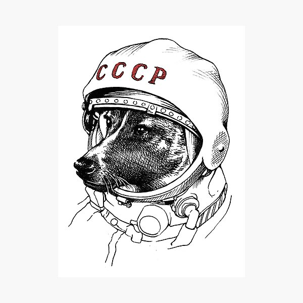 Laika, space traveler Photographic Print