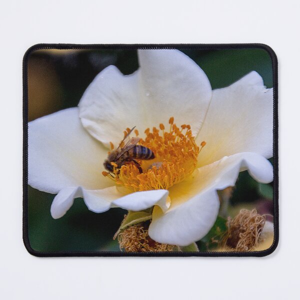 Item preview, Bee at work designed and sold by indiafrankk.