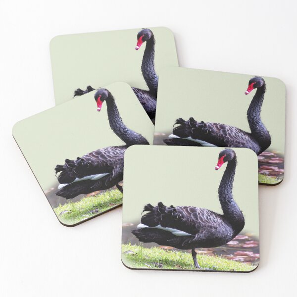 Item preview, Black swan designed and sold by indiafrankk.