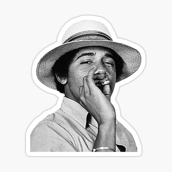 Mister President Sticker