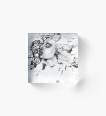 Simplefader- Character23 Acrylic Block