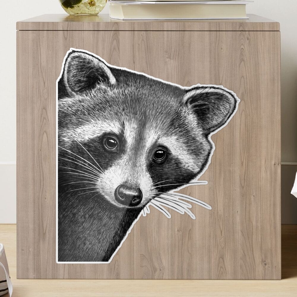 Raccoon Vinyl Waterproof Die Cut Sticker- 2.75 x 3.125 inch – Kristy  Guenther Art