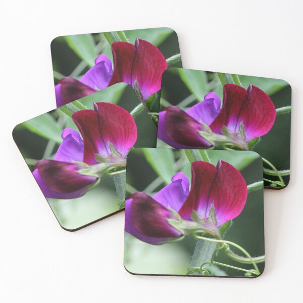 Item preview, Sweet Pea designed and sold by cuprum.