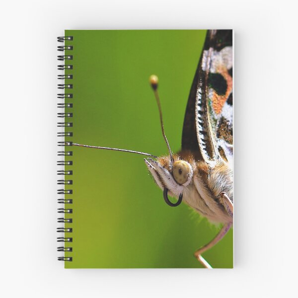 Item preview, Butterfly Up Close designed and sold by ADM  Photography.
