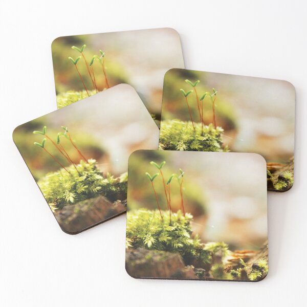 Item preview, In the middle of the forest designed and sold by Dominika Aniola.