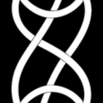 Artwork thumbnail, Urnes scrollwork transparent white by Odinist