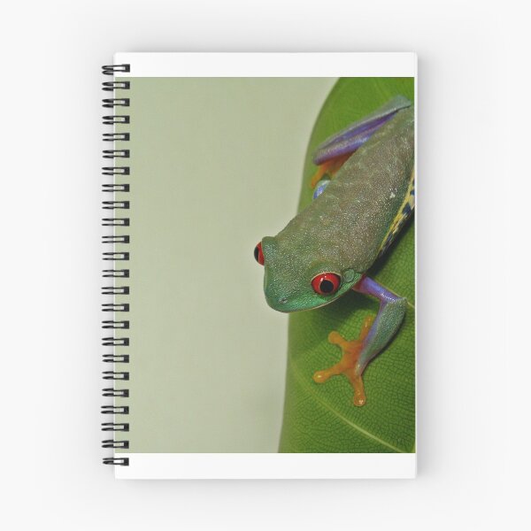Item preview, Red Eyed Tree Frog designed and sold by insight.