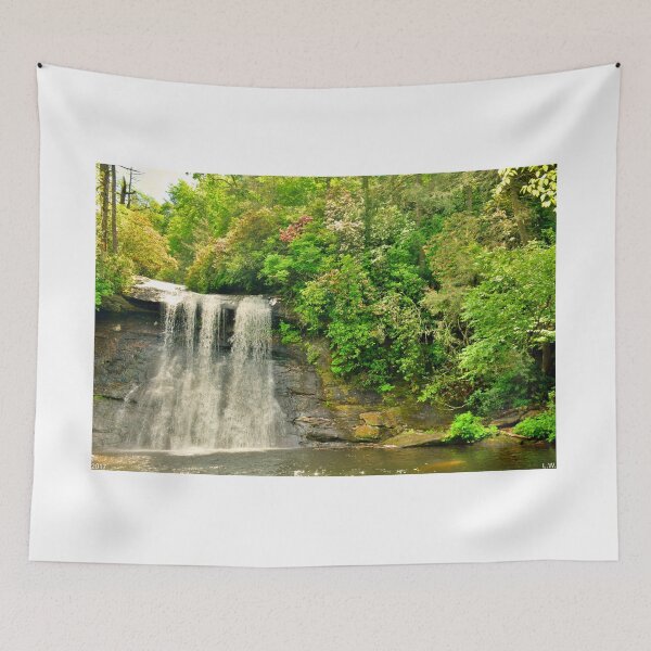Item preview, Silver Run Falls Cashiers NC designed and sold by LisaWootenPhoto.