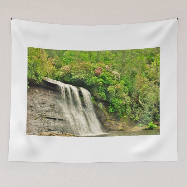 Item preview, Silver Run Falls Cashiers North Carolina designed and sold by LisaWootenPhoto.
