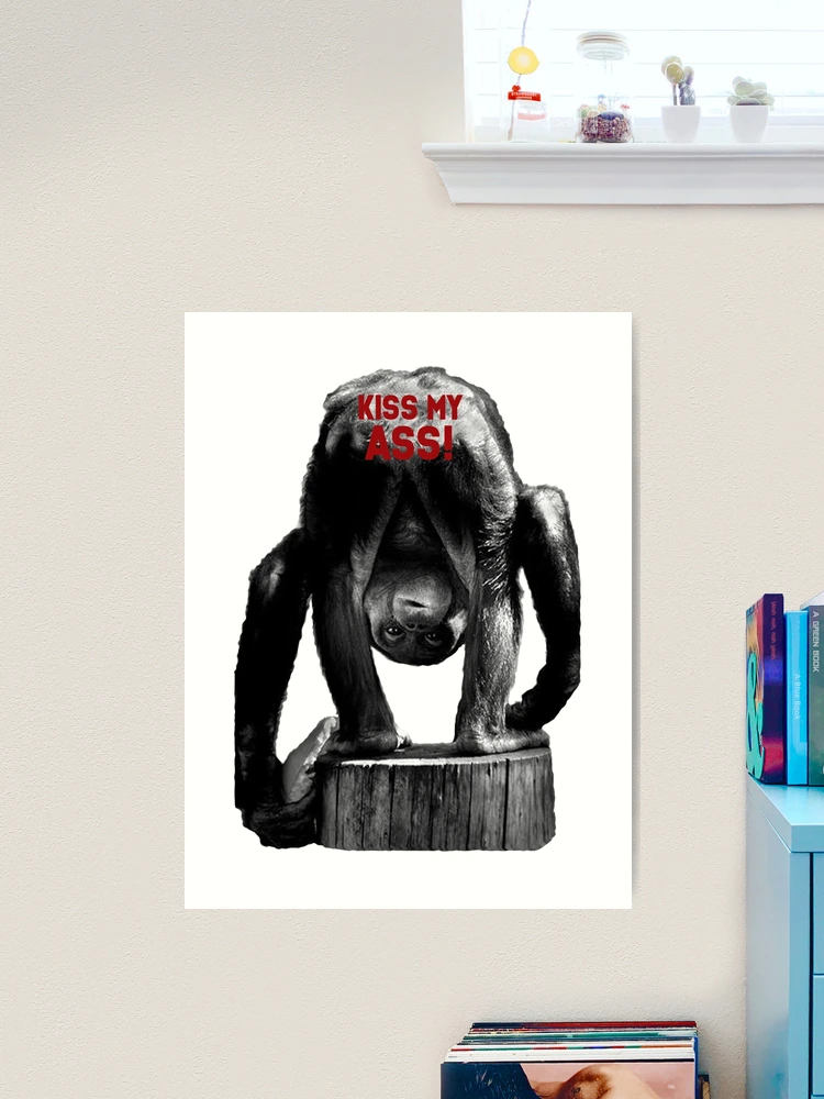 carp,x_large,product,750x1000.webp
