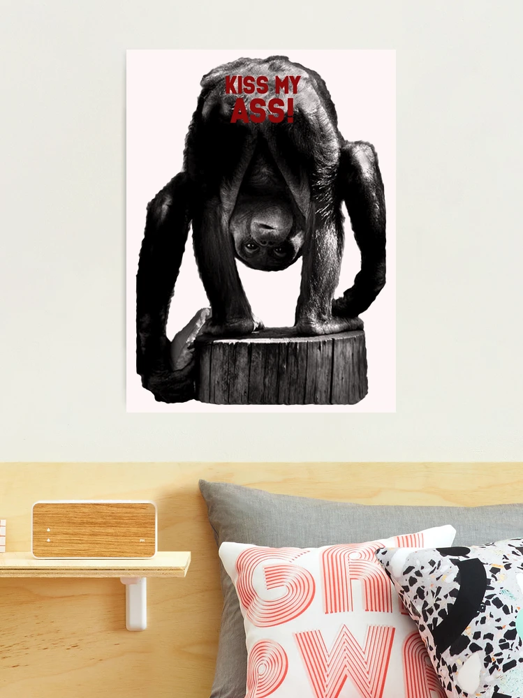 Kiss my ass monkey