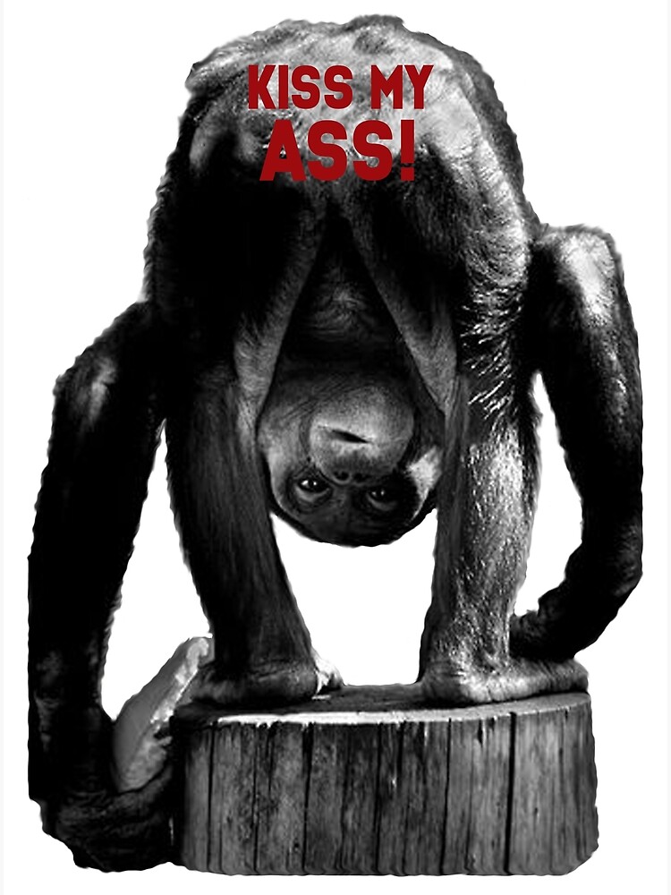 Kiss my ass monkey