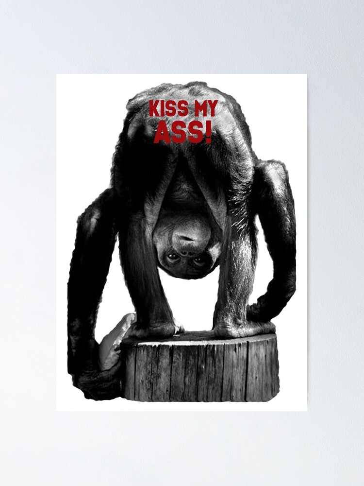 Kiss my ass monkey