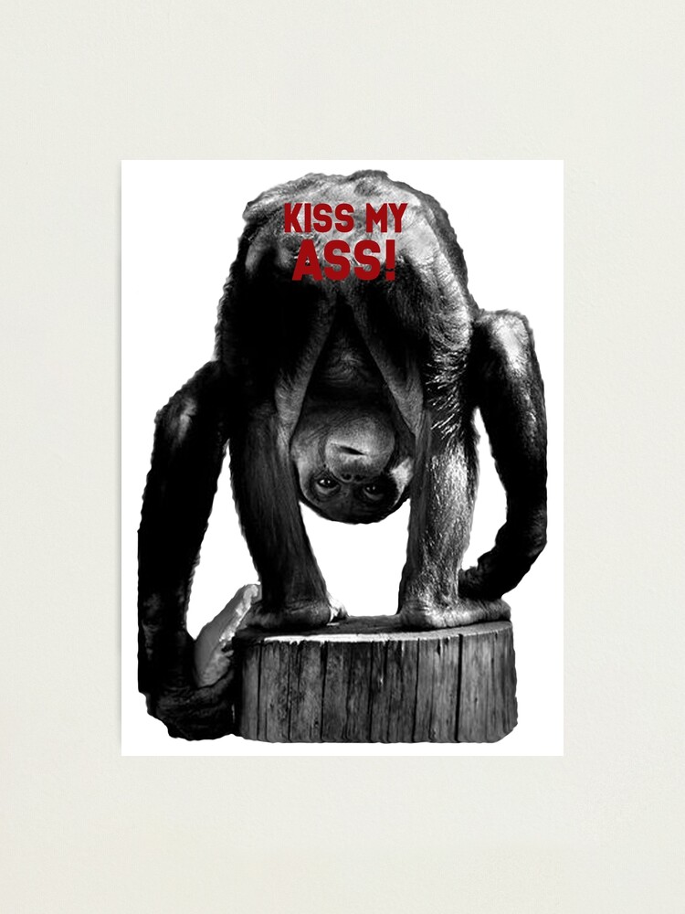 Kiss my ass monkey