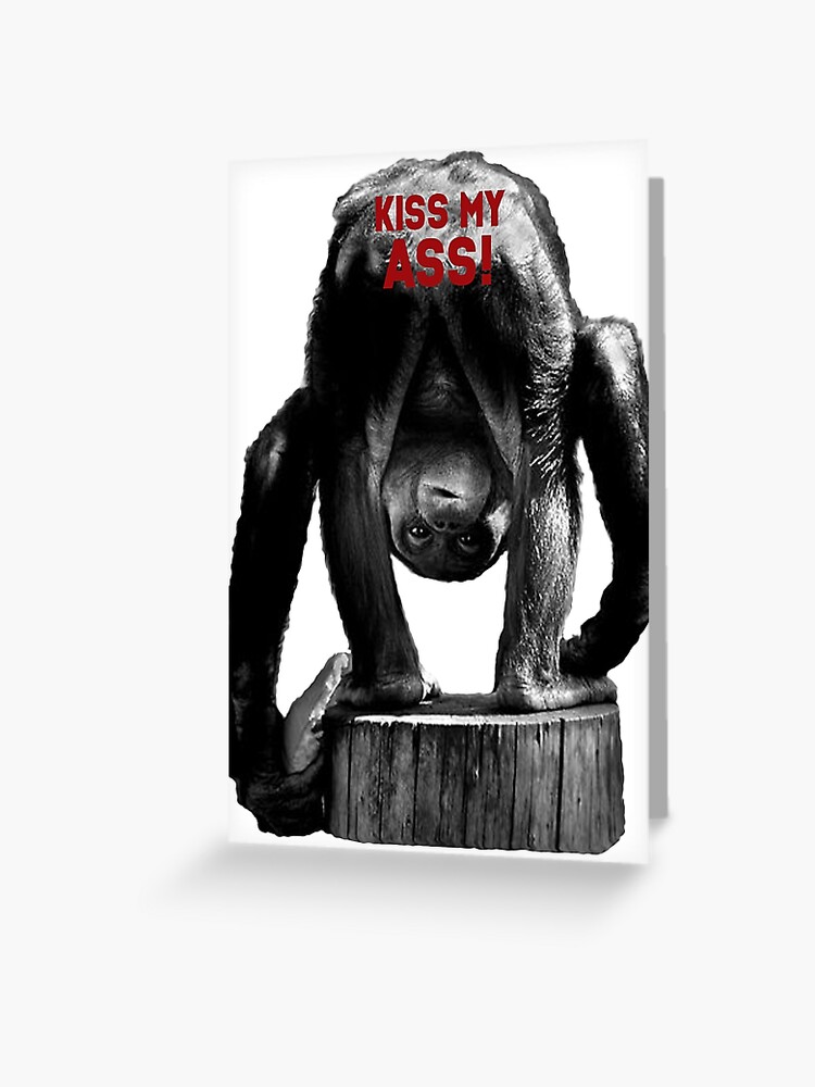 Kiss my ass monkey