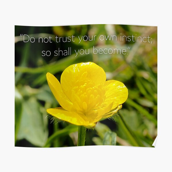 NDVH "Do not trust your own instinct..." Poster
