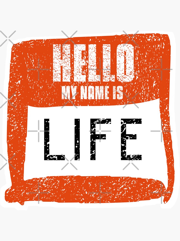 Hi My Name Is And My Life Is Kinda Crazy "Hello My Name Is Life label" Sticker for Sale by vibeno1 | Redbubble