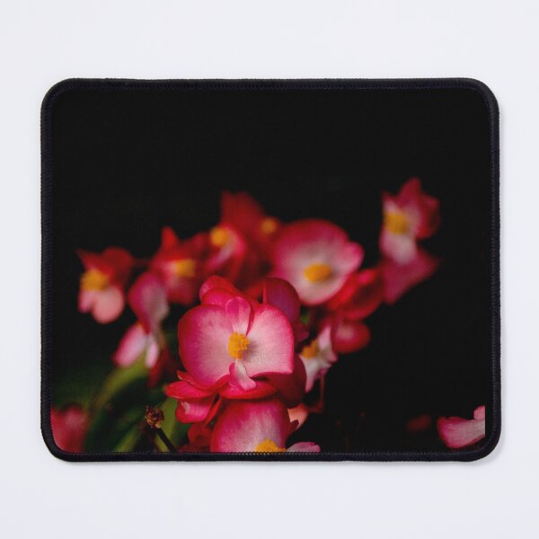 Item preview, pink and black designed and sold by jayde amelia.